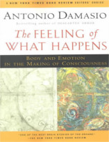 The Feeling of What Happens